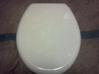 Moderate Cheap Toilet Seat