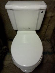 York large pan cistern toilet