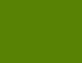 avocado green bathroom colour 1970s