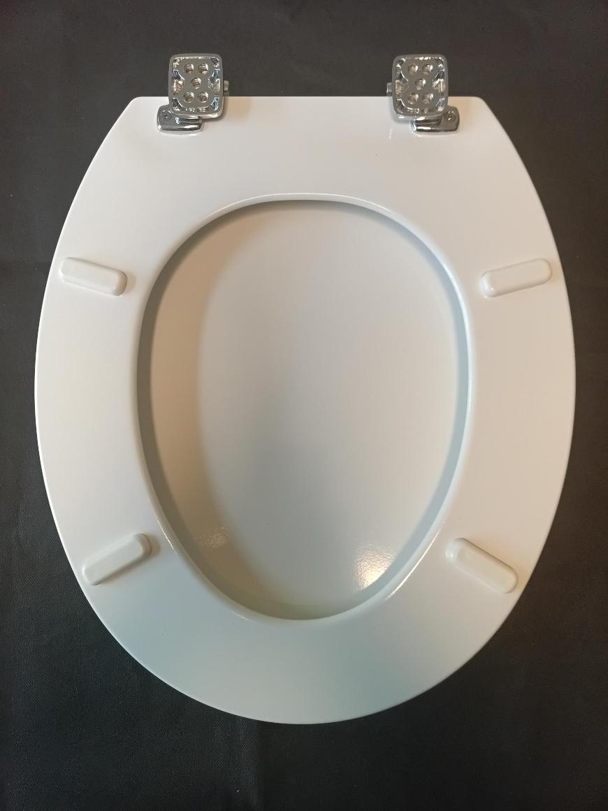 bemis toilet seat 5050QCPT000 