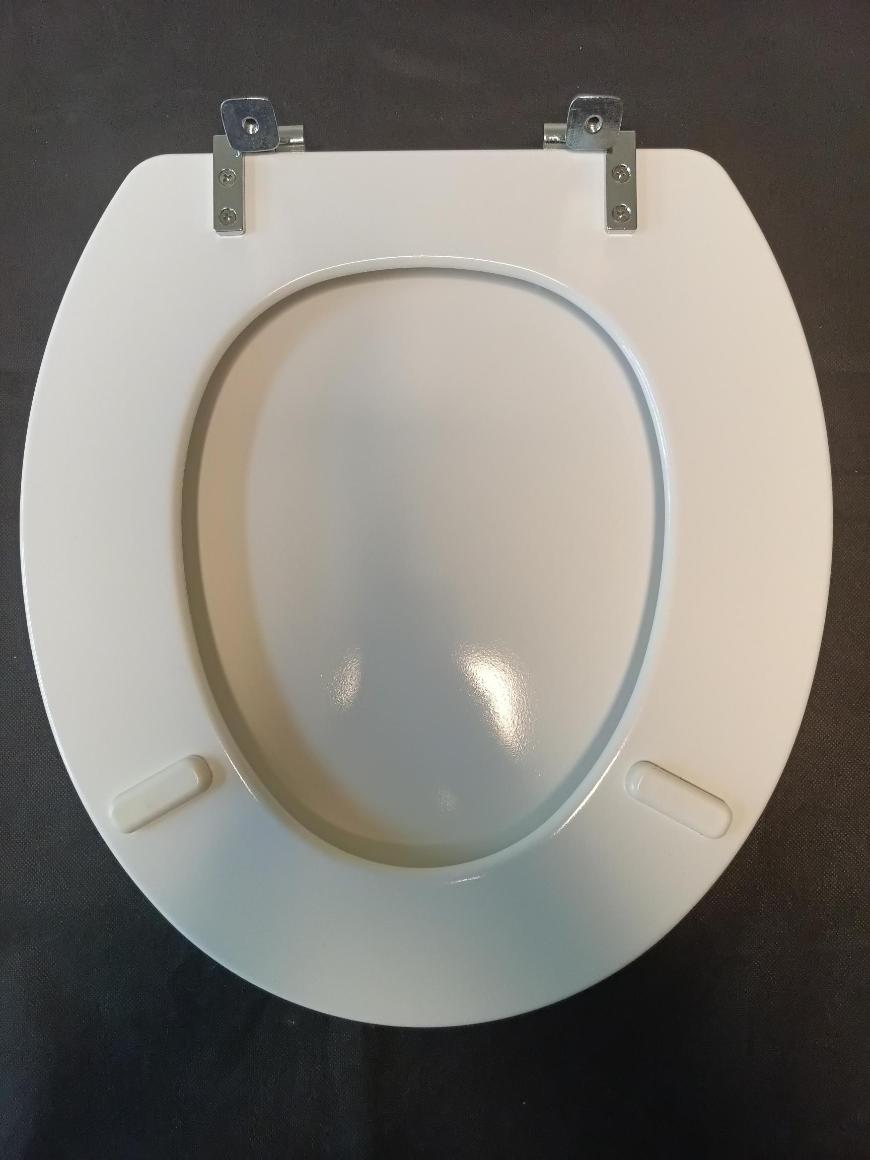 bemis toilet seat 5010QCPT000