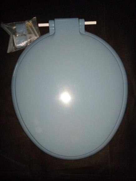 the rodding toilet seat bermuda blue