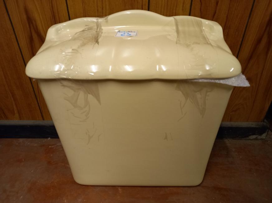 champagne colour shell toilet cistern uk