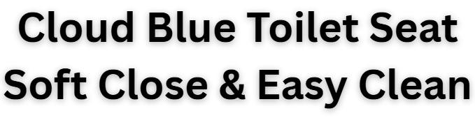 cloud blue toilet seat light pale easy clean