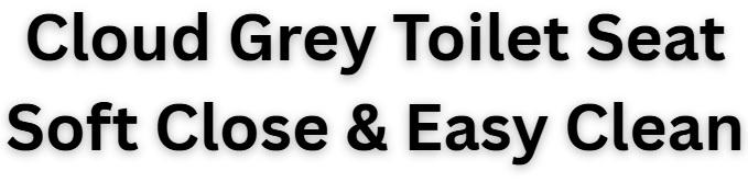 cloud grey toilet seat soft close easy clean