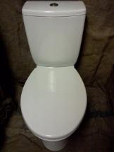 2 button top dual flush water saving toilet bradford