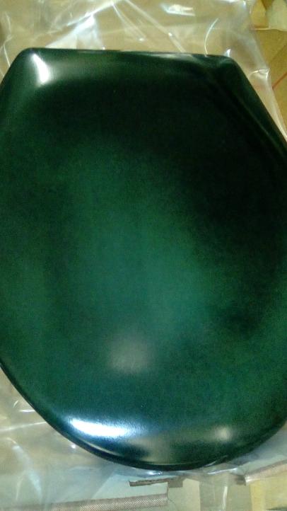 Harmony Green Toilet Seat Pressalit