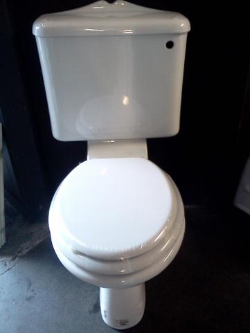 ivy leaf decorated ceramic wc toilet