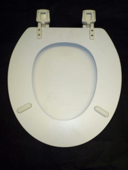 bemis 636 jasmine matte toilet seat