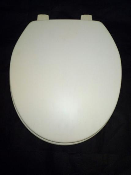 jasmine pearl toilet seat bemis 636