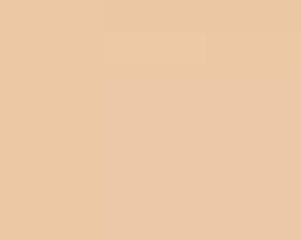 melba peach bathroom colour