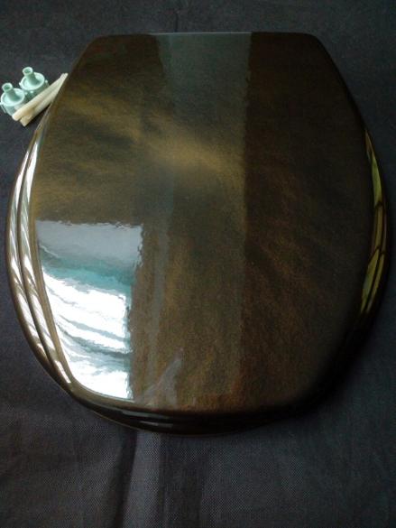 Kan77 green tortoise shell toilet seat