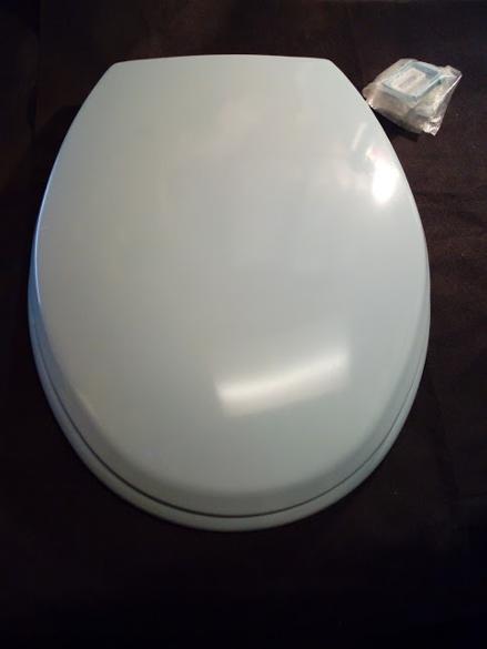 sky blue colour toilet loo seat wc