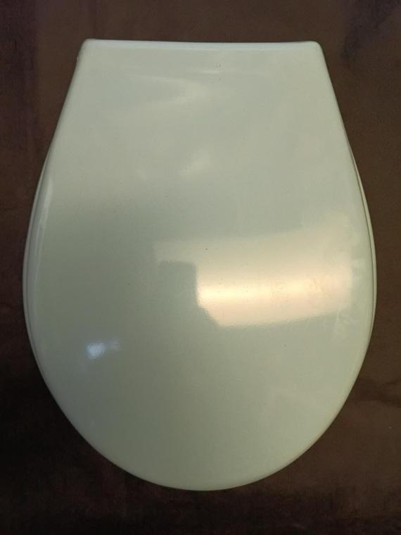 sky blue loo seat stainless hinges