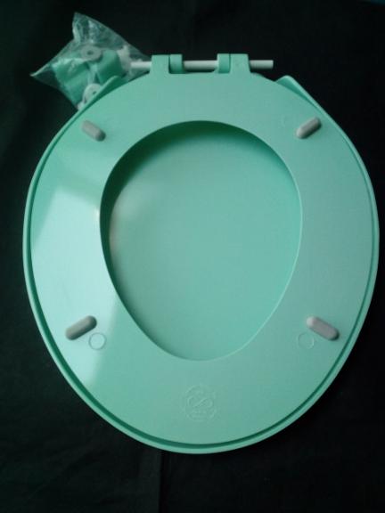 turquoise colour toilet seat cameron