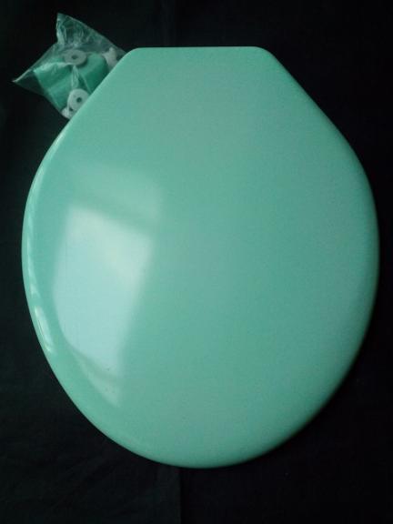 cameron plastics osprey turquoise loo seat