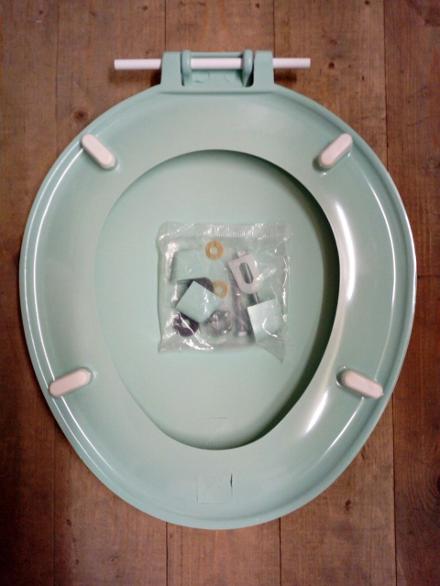 turquoise colour seat loo lav wc toilet
