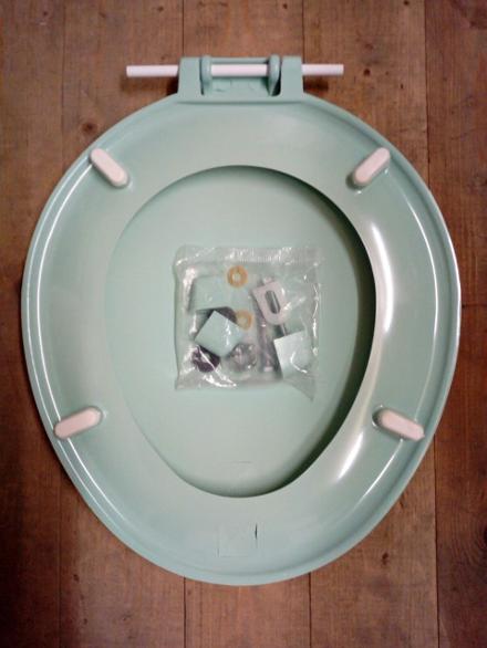 turquoise colour seat loo lav wc toilet