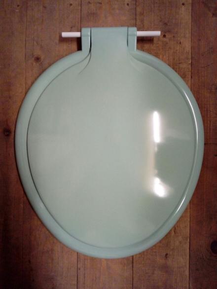 turquoise colour toilet seat plastic