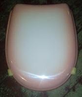 2tone two tone pink toilet seat curved back