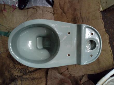 wild sage green close coupled toilet bowl pan