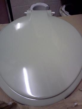 Willow green colour bathroom toilet seat